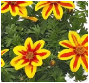 Снимок экрана 2025-10-18 193352